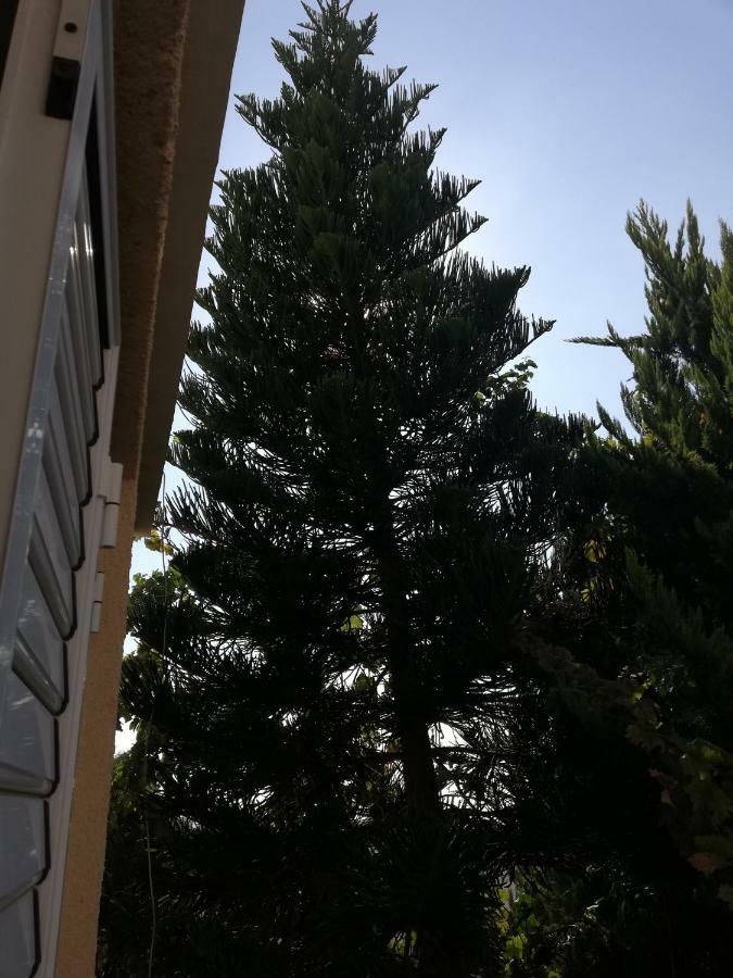 Chriselina Gottage Paphos Exterior foto
