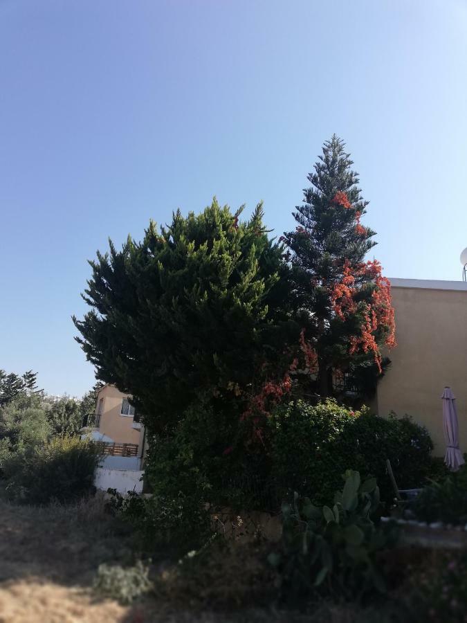 Chriselina Gottage Paphos Exterior foto
