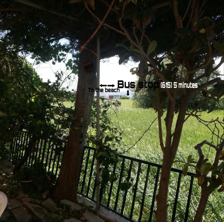 Chriselina Gottage Paphos Exterior foto
